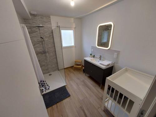 een badkamer met een douche en een wastafel bij gite a la campagne in Saint-Aubin-de-Terregatte