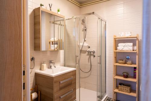 別洛瓦爾的住宿－Studio apartman Queen，带淋浴和盥洗盆的浴室