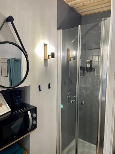 a bathroom with a shower with a mirror and a sink at Le Cosy, charmant studio centre ville in Rennes