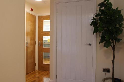 a door leading into a hallway with a plant at Silk Hotel in Boston