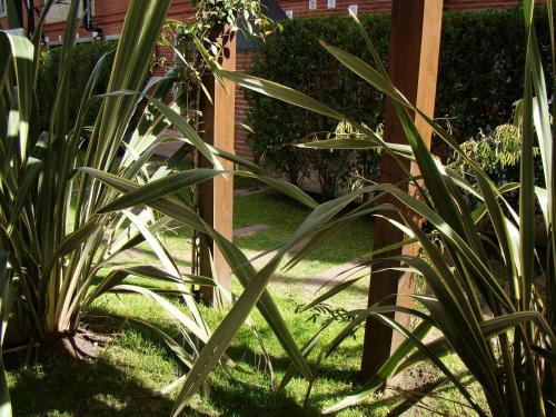 a group of plants next to a wooden fence at Valeria House Rental Suites in Valeria del Mar