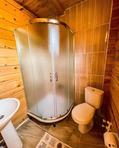 ein Bad mit einer Dusche, einem WC und einem Waschbecken in der Unterkunft disharoyaylaevleri in Meşeli