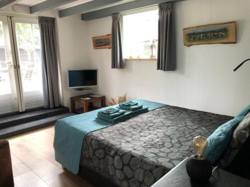 1 dormitorio con 1 cama, TV y ventanas en Altynghe, en Beilen