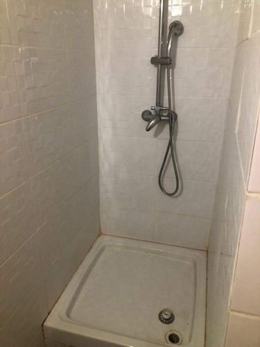 een badkamer met een douche, een toilet en een wastafel bij Le William in Marseille