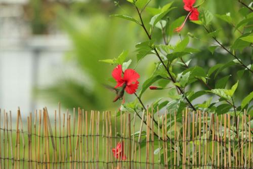 Jardín al aire libre en Casa Luce