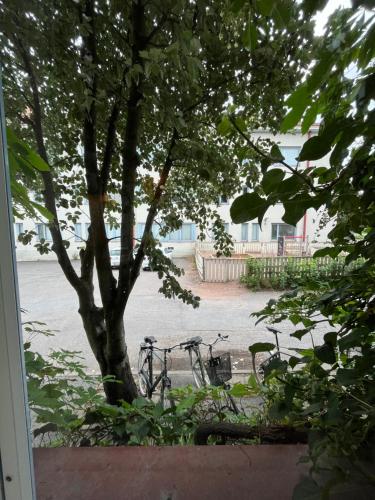 Foto Ihana yksiö Turun keskustassa 6