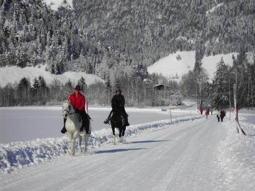 two people riding horses down a snow covered road at Bergheim Komfort Ferienwohnungen in Walchsee