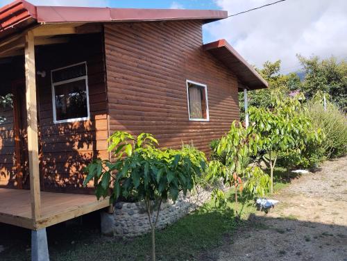 a log cabin with a porch and a cat standing outside at Cabañas Barú Dota in Santa María
