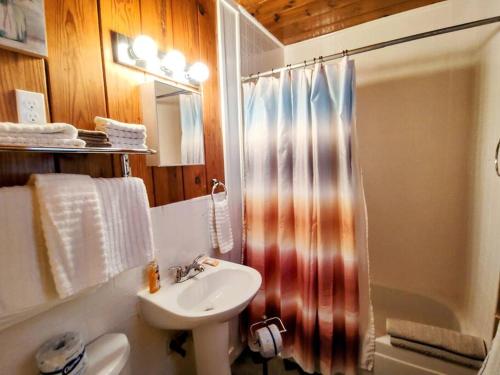 uma casa de banho com um lavatório, um WC e um chuveiro em #07 - Lakeview One Bedroom Cottage-Pet Friendly em Hot Springs