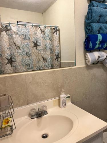 a bathroom sink with a mirror and a shower curtain at Tropical Hideaway in Nassau