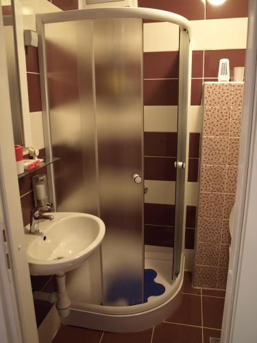 a bathroom with a shower and a sink at Apartments Kamenecki in Krapina