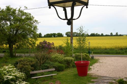 a red bucket sitting next to a bench and a field of flowers at Le Briou in Précy