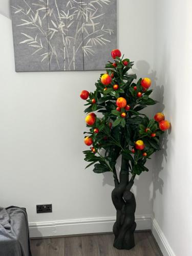 Φωτογραφία από το άλμπουμ του 2 bedroom flat close to Manchester City, Manchester City stadium and Coop Arena στο Μάντσεστερ