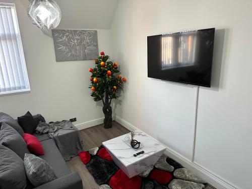 Μια τηλεόραση ή/και κέντρο ψυχαγωγίας στο 2 bedroom flat close to Manchester City, Manchester City stadium and Coop Arena