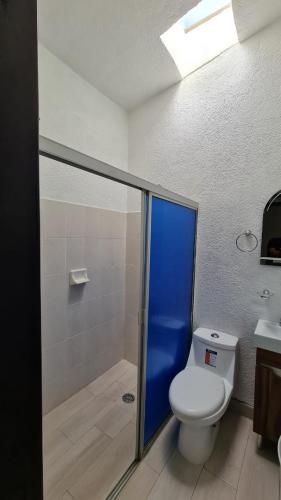 a bathroom with a toilet and a shower and a sink at Casa en Pátzcuaro in Pátzcuaro