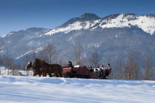 a group of people riding in a horse drawn carriage in the snow at Bergheim Komfort Ferienwohnungen in Walchsee