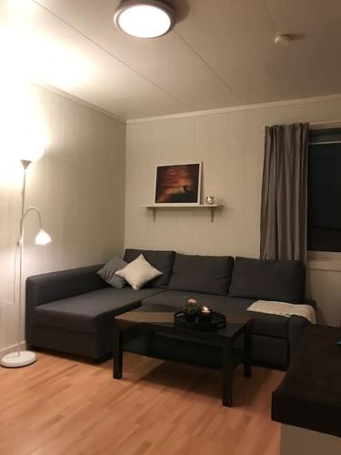 a living room with a couch and a coffee table at Leilighet i Hamar sentrum in Hamar