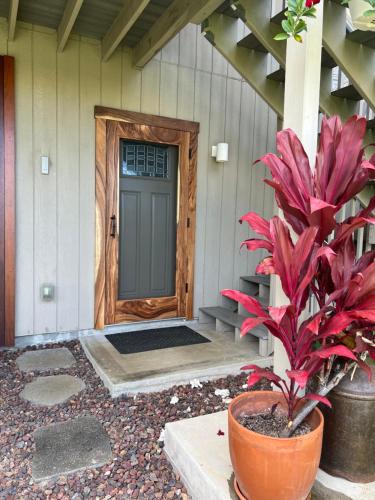 a front door of a house with a potted plant at Private Ohana on the lush Hamakua coast with AC in Honokaa