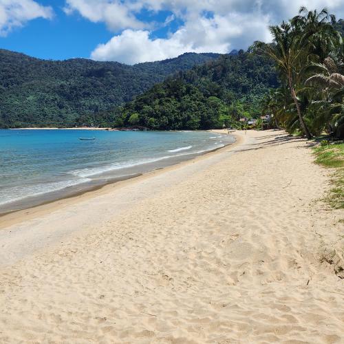 a sandy beach with palm trees and the ocean at Permai Chalet Tioman in Kampong Juara