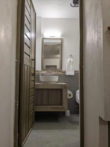 a bathroom with a sink and a mirror at Moderna, Comoda Suite Palma en Tepotzotlán centro in Tepotzotlán