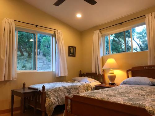 a bedroom with two beds and two windows at Morning Star Vista near Yosemite - countryside with mountain views in Mariposa
