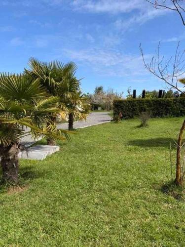 a park with palm trees and a walking path at Linda y cómoda cabaña en un entorno natural in Los Ángeles