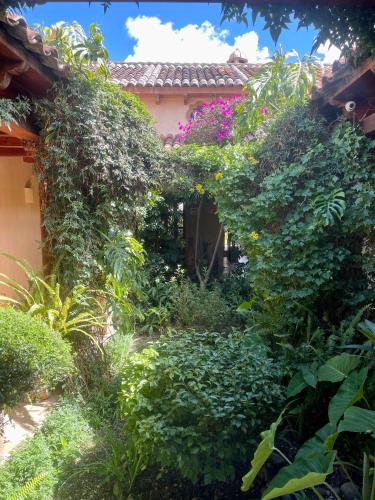 a garden with lots of plants and a house at Parador Margarita in San Cristóbal de Las Casas