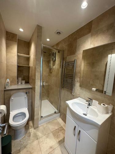 a bathroom with a toilet and a shower and a sink at Home-like 1-BR flat in Victoria in London