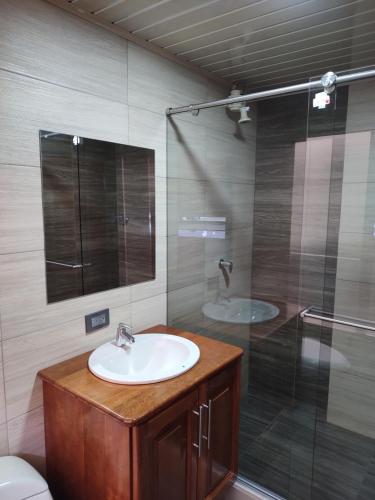 een badkamer met een wastafel en een douche bij Hotel RA04 in Chachagüí