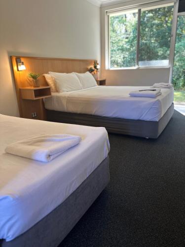 2 camas en una habitación de hotel con ventana en Bull and Bush Hotel en Medowie