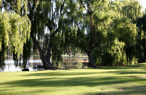 a group of trees in a park next to a body of water at Cohuna Waterfront Holiday Park in Cohuna