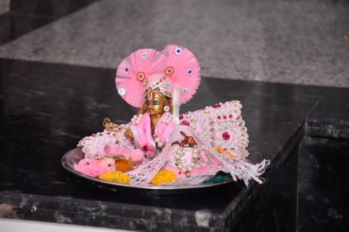a figurine of a woman in a pink dress on a plate at HOTEL VIEW in Govardhan