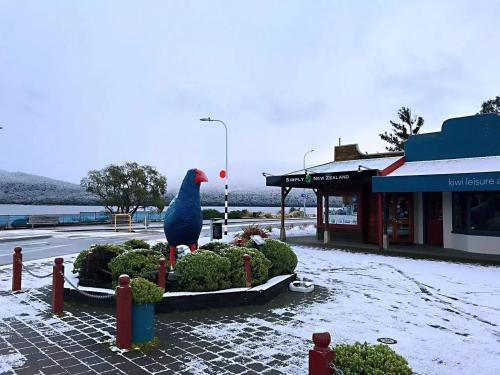 a large peacock sitting on a planter in a street at Amber Court Motel in Te Anau