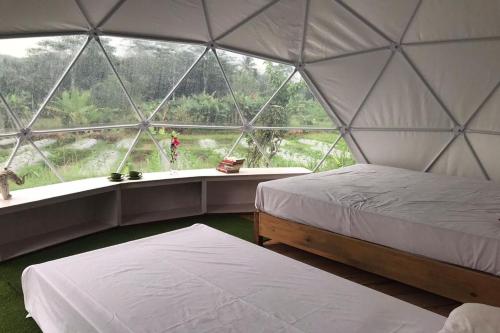 a room with two beds and a large window at Borobudur Luxury Glamping in Magelang