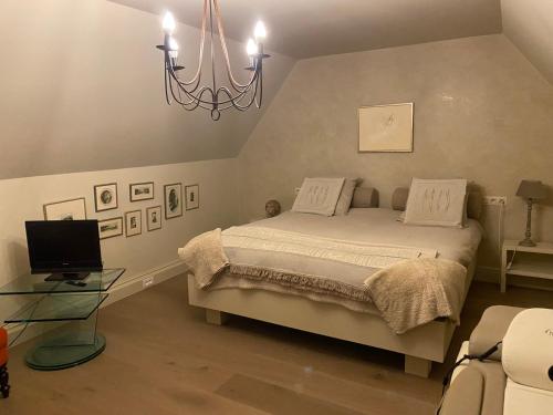 1 dormitorio con cama y lámpara de araña en La Maison d'Arc en Frasnes-lez-Anvaing
