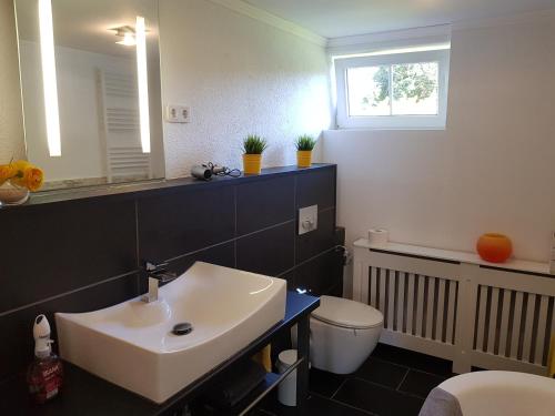 W łazience znajduje się umywalka, toaleta i lustro. w obiekcie Ferienwohnung Südheide w mieście Beedenbostel