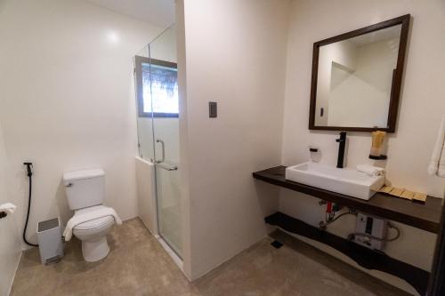 a bathroom with a toilet and a sink and a mirror at La Joya Farm Resort & Spa in Aloguinsan