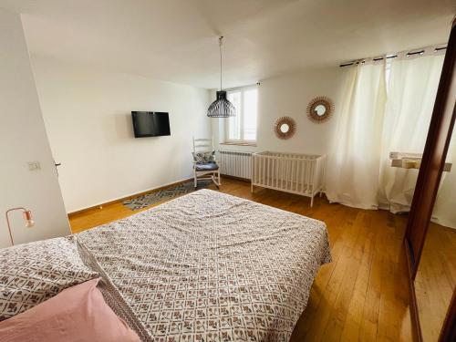 ein Schlafzimmer mit einem Bett und einem TV. in der Unterkunft Le Confidentiel - terrasse et garage privé in Nîmes