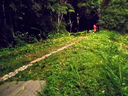 a person walking down a dirt trail in the woods at Green Shine B&B in Nanzhuang