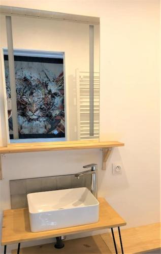 a bathroom with a white sink and a mirror at Cocon des marais in Bourgneuf-en-Retz