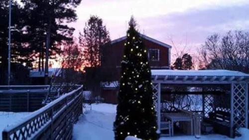 a christmas tree in the snow in front of a house at Hostel Gästhem Glassen Apartment in Rättvik