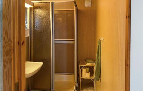 een badkamer met een douche en een wastafel bij Amazing Home In Vimmerby With Indoor Swimming Pool in Vimmerby