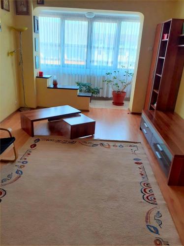 sala de estar con mesa de centro y alfombra en Eva apartment, en Suceava