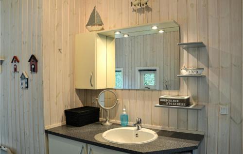 ホーンバックにあるStunning Home In Hornbk With 3 Bedrooms, Sauna And Wifiのバスルーム(洗面台、鏡付)