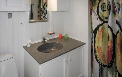 encimera con lavabo y espejo en 3 Bedroom Beautiful Home In Jgerspris, en Jægerspris