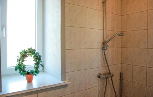 a shower in a bathroom with a plant on a shelf at 2 Bedroom Gorgeous Home In Hvide Sande in Havrvig