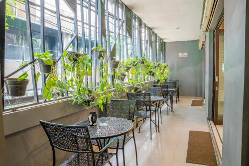 Restaurace v ubytování Hotel Alia Cikini