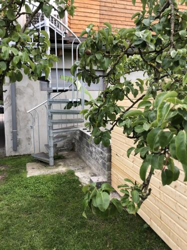 Taman di luar Apartment am Stettiner Haff