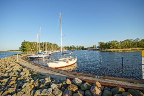 a group of boats docked at a dock in the water at Apartment am Stettiner Haff in Mönkebude