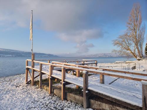 a wooden pier with a flag on it in the snow at Strandhotel Löchnerhaus in Reichenau